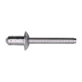 Auveco 22067 Ford Specialty Rivet, 1/4" Diameter, 10-Pack