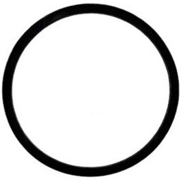 Binks 83-1419 Head Gasket, 2 Gallon Pressure Tank, Santoprene