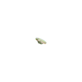 Fill-Rite FRTC Tank Vent Cap, Powder-Coated Aluminum and Steel, Pressure an