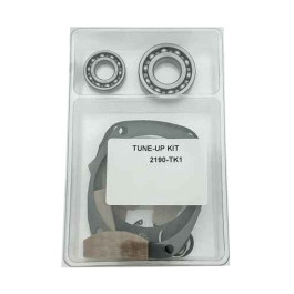 Ingersoll Rand 2190-TK1 Tune-Up Kit, Vane Pack and Motor Bearings, Seals and Exhaust Parts, For 2190Ti Series 1 inch Drive Air Impact Wrenches