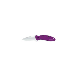 Kershaw 1620PUR Scallion Purple Assisted Folding Pocket Knife, 2.4" 420HC R