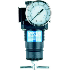 Motor Guard RG4520 Precision Air Regulator With Gauge, 1/2 Inch Line, 100 CFM
