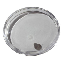 Mastercool 85253-E Replacement Lens for 2.5" Gauge